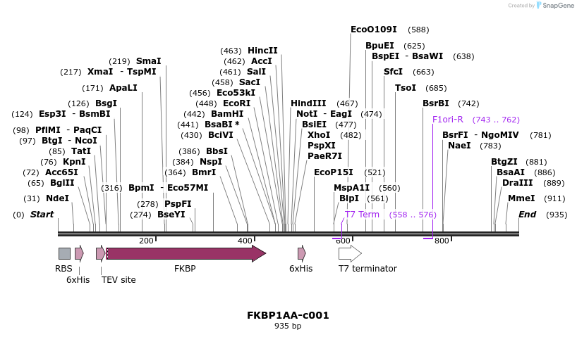 86664_map