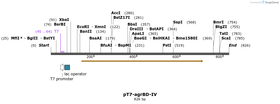 86665_map