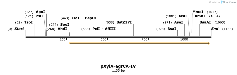 86669_map