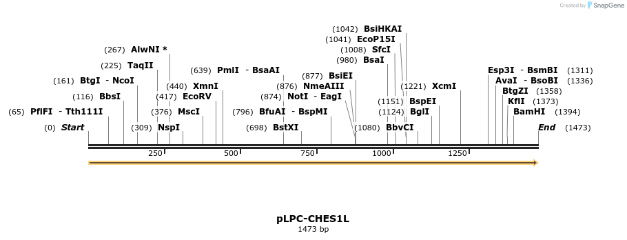 86670_map