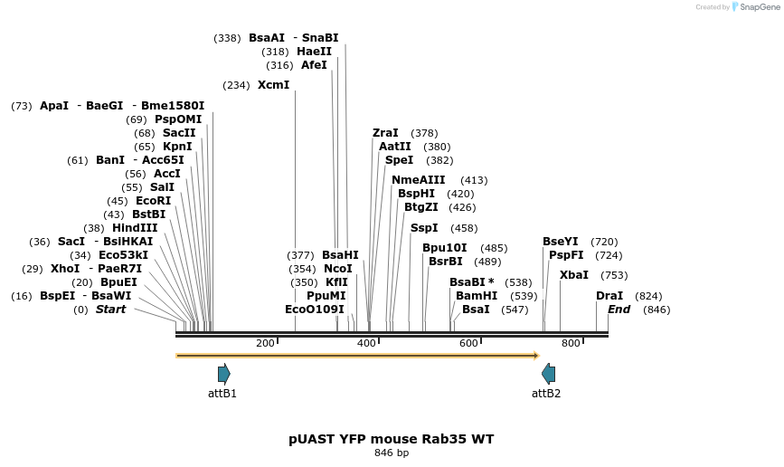 86675_map