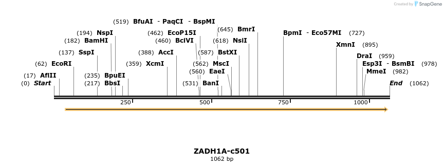 86676_map