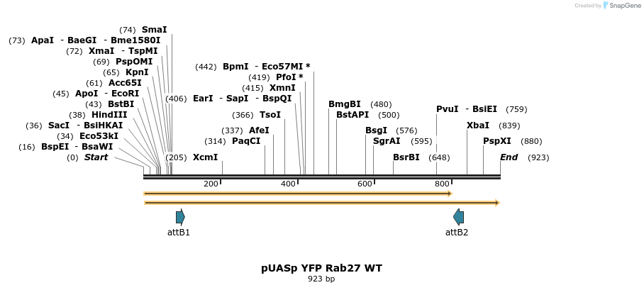 86678_map
