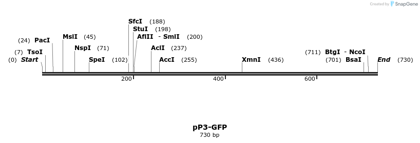 86682_map