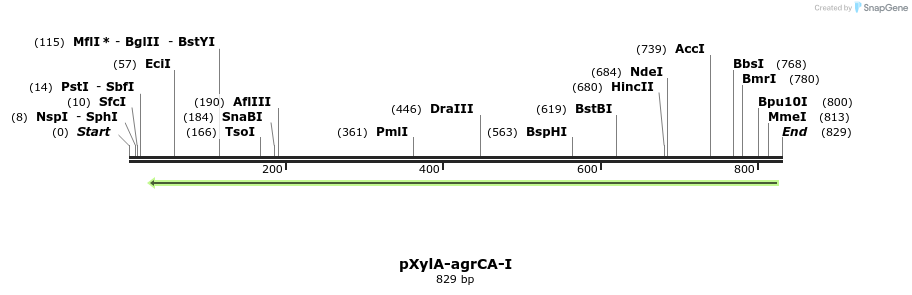 86685_map