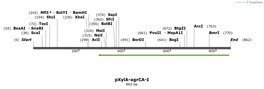86688_map