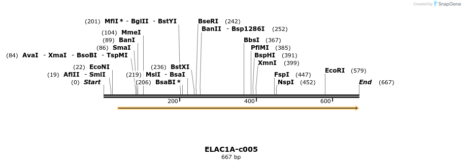 86689_map
