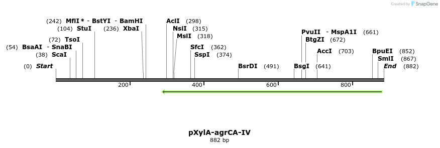 86698_map