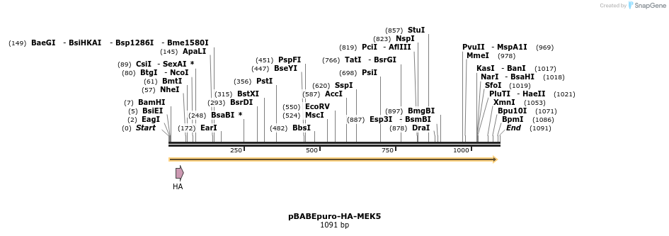 86711_map