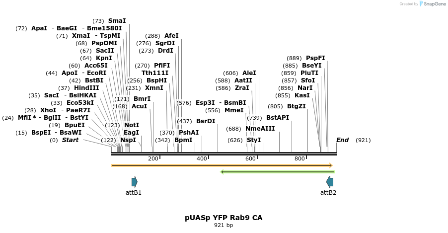 86717_map