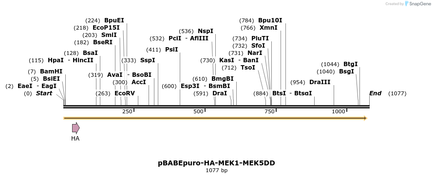 86718_map