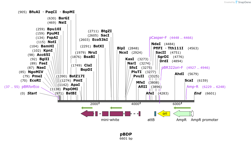 8672_map
