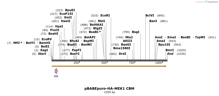86727_map