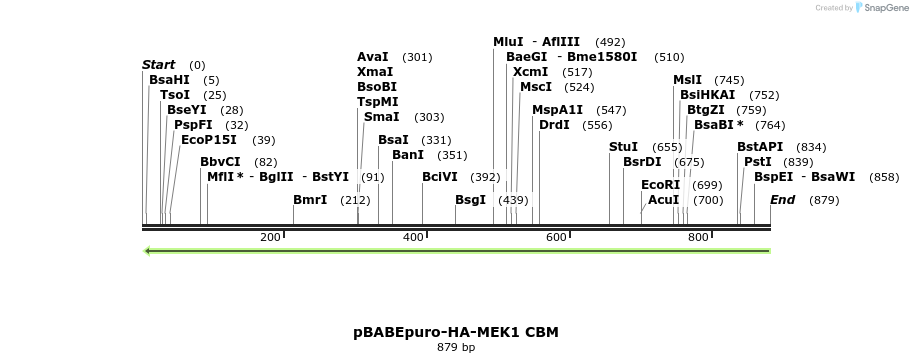 86728_map