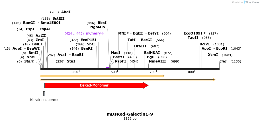 86740_map