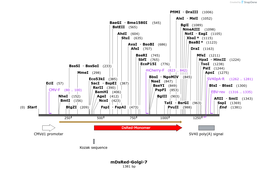 86741_map
