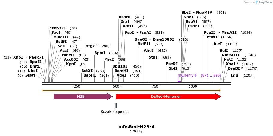 86742_map