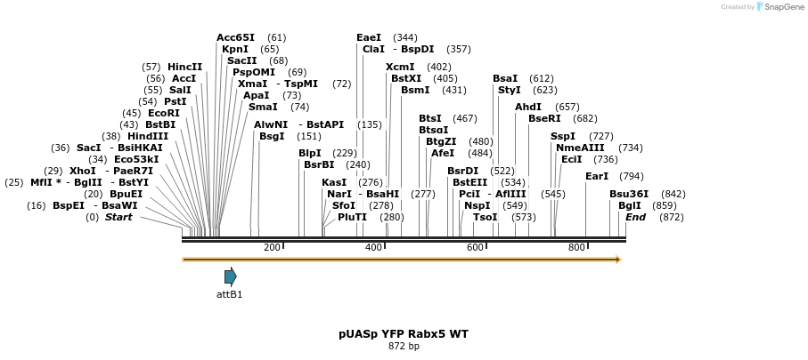 86746_map