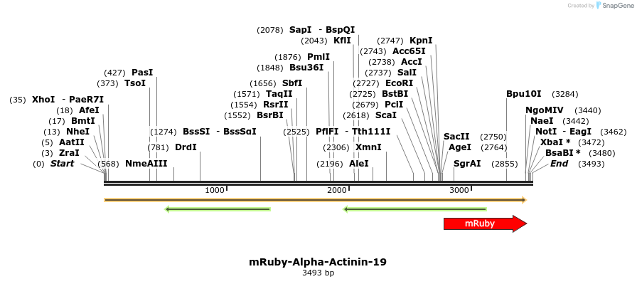 86754_map