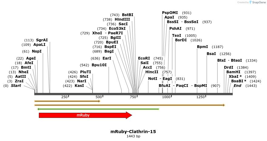 86759_map
