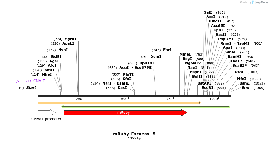 86767_map