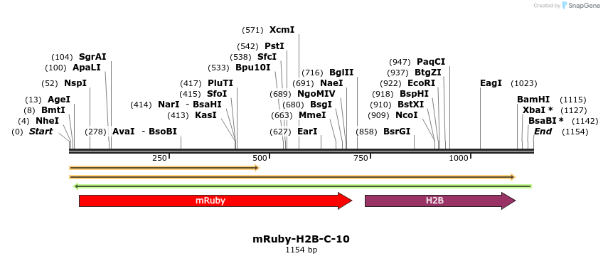 86773_map