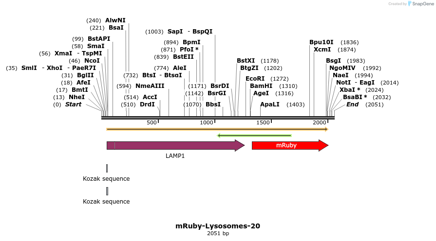 86778_map