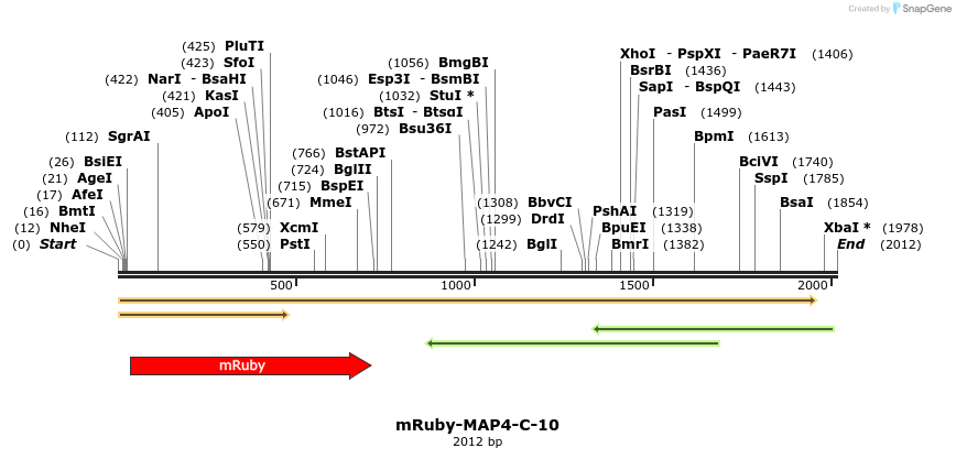 86779_map