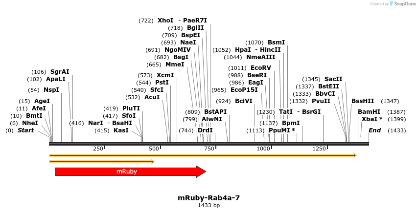 86784_map