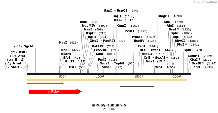 86786_map
