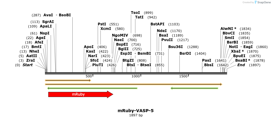 86788_map