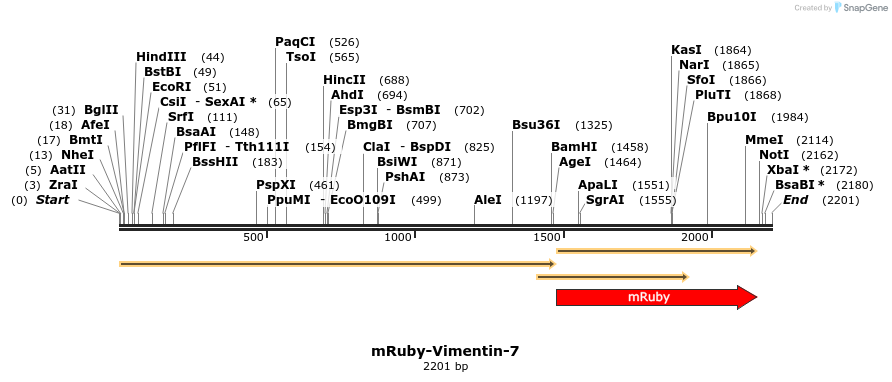 86790_map