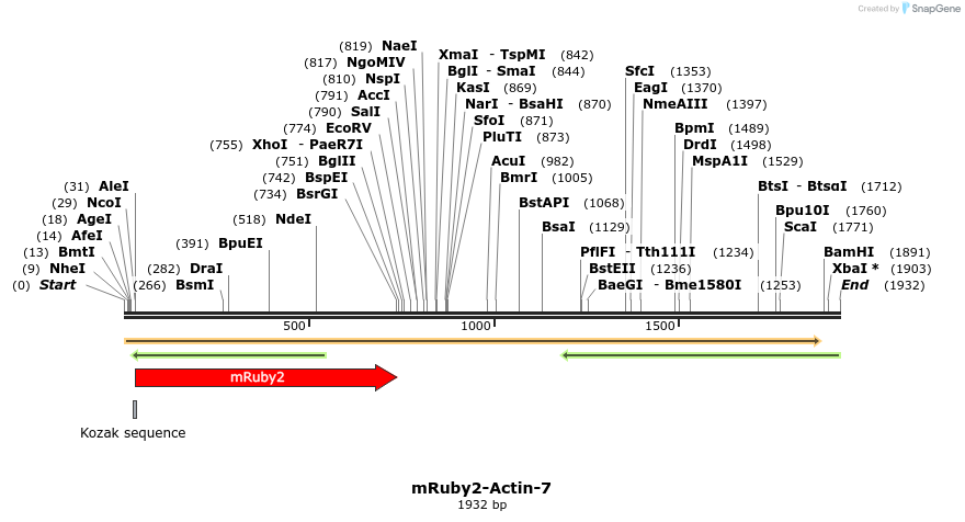 86794_map