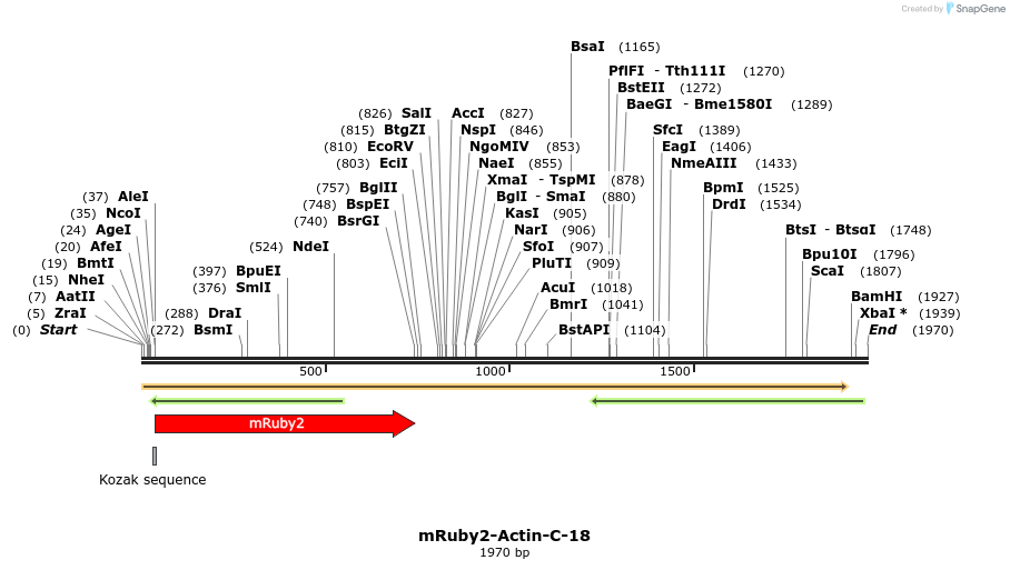 86795_map
