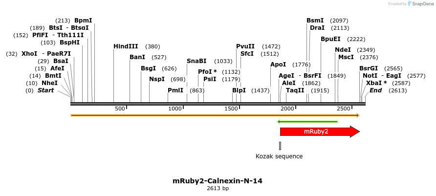 86797_map
