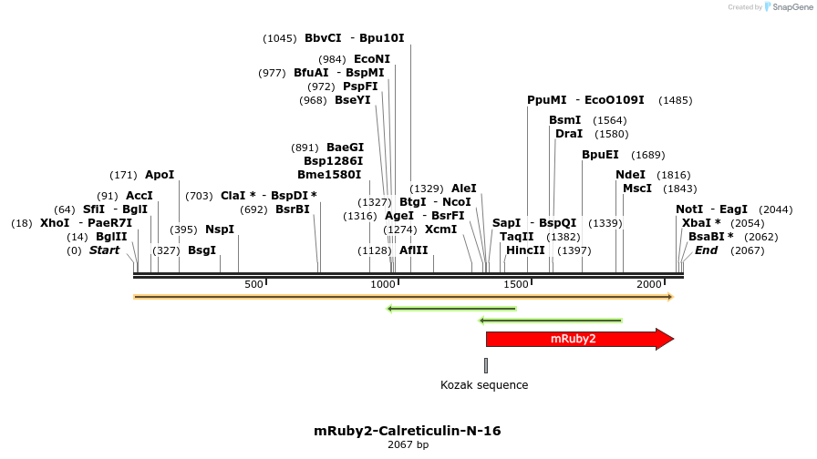 86798_map