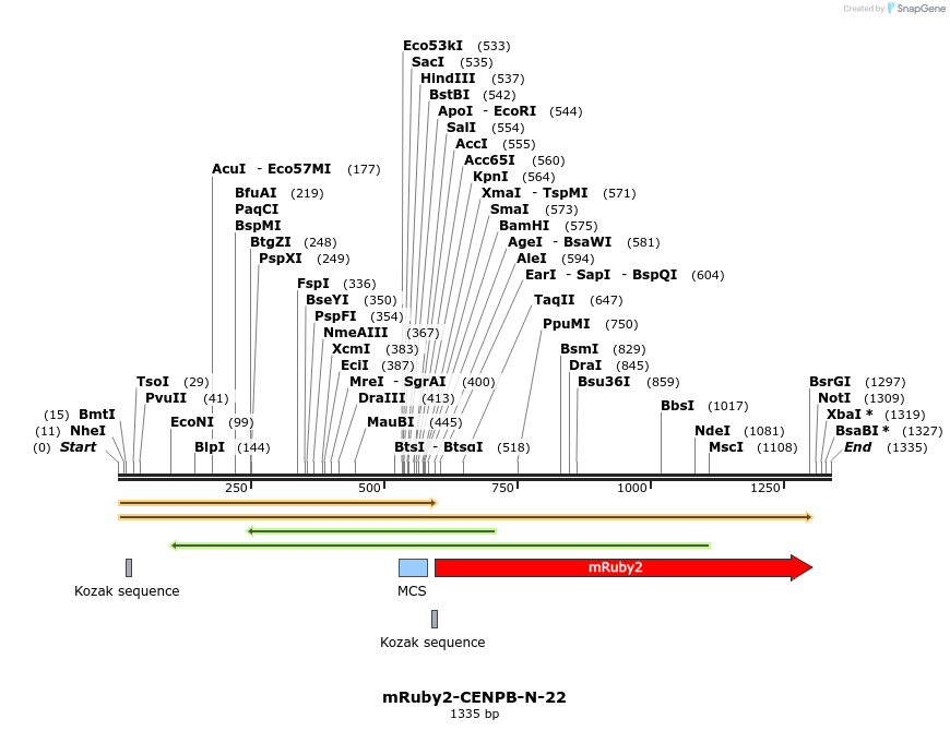 86799_map