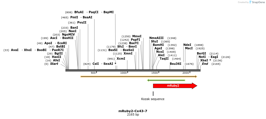 86800_map