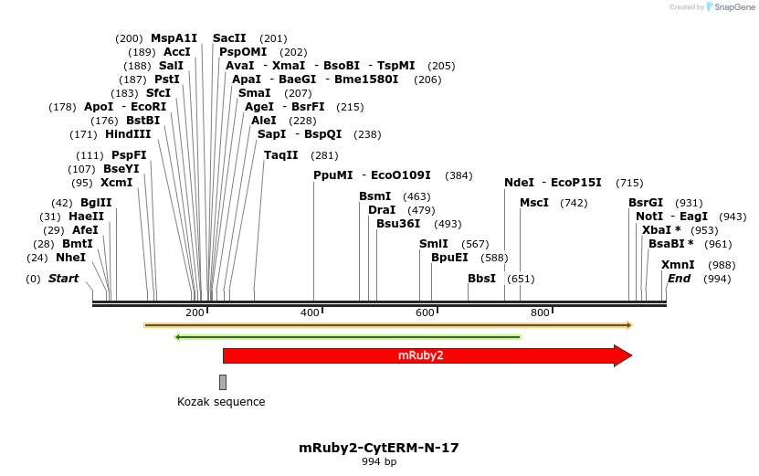 86801_map