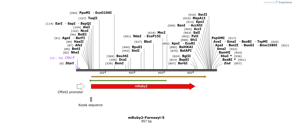 86802_map