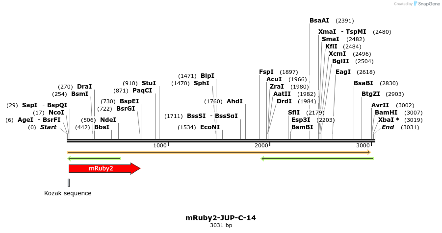 86805_map