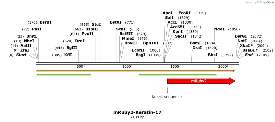 86806_map