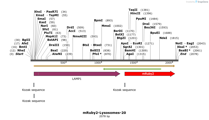 86808_map