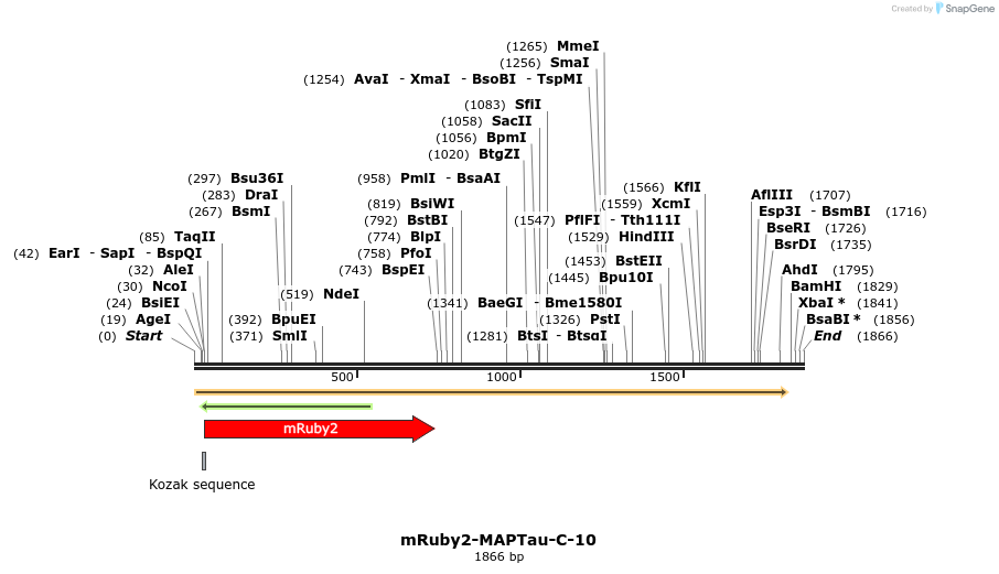 86810_map
