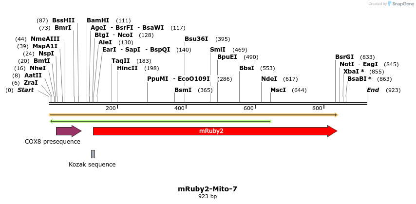 86811_map