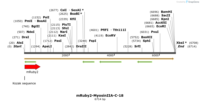 86812_map