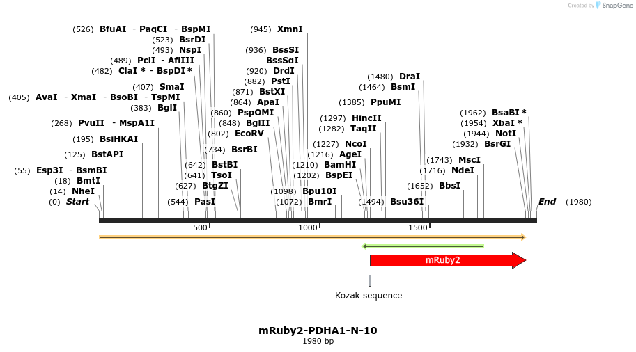 86815_map