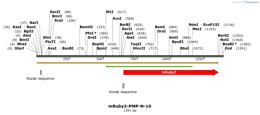86816_map