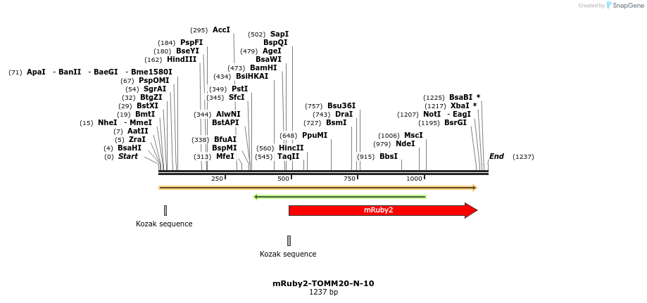 86819_map
