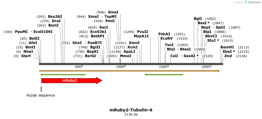 86820_map